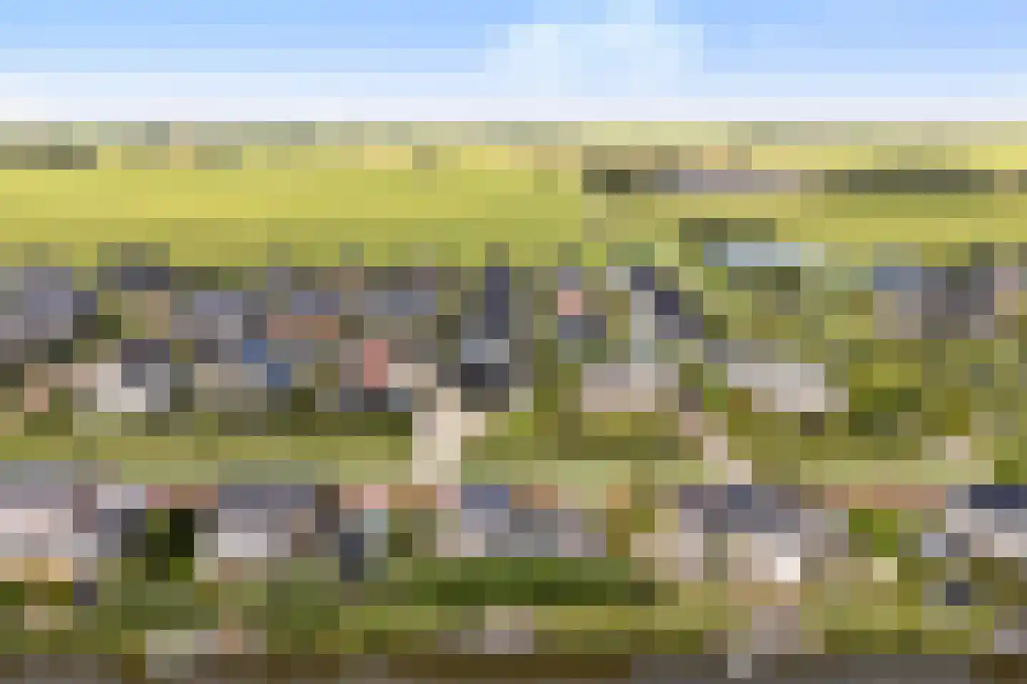 Blitsaerderleane 14 Leeuwarden thumbnail 58