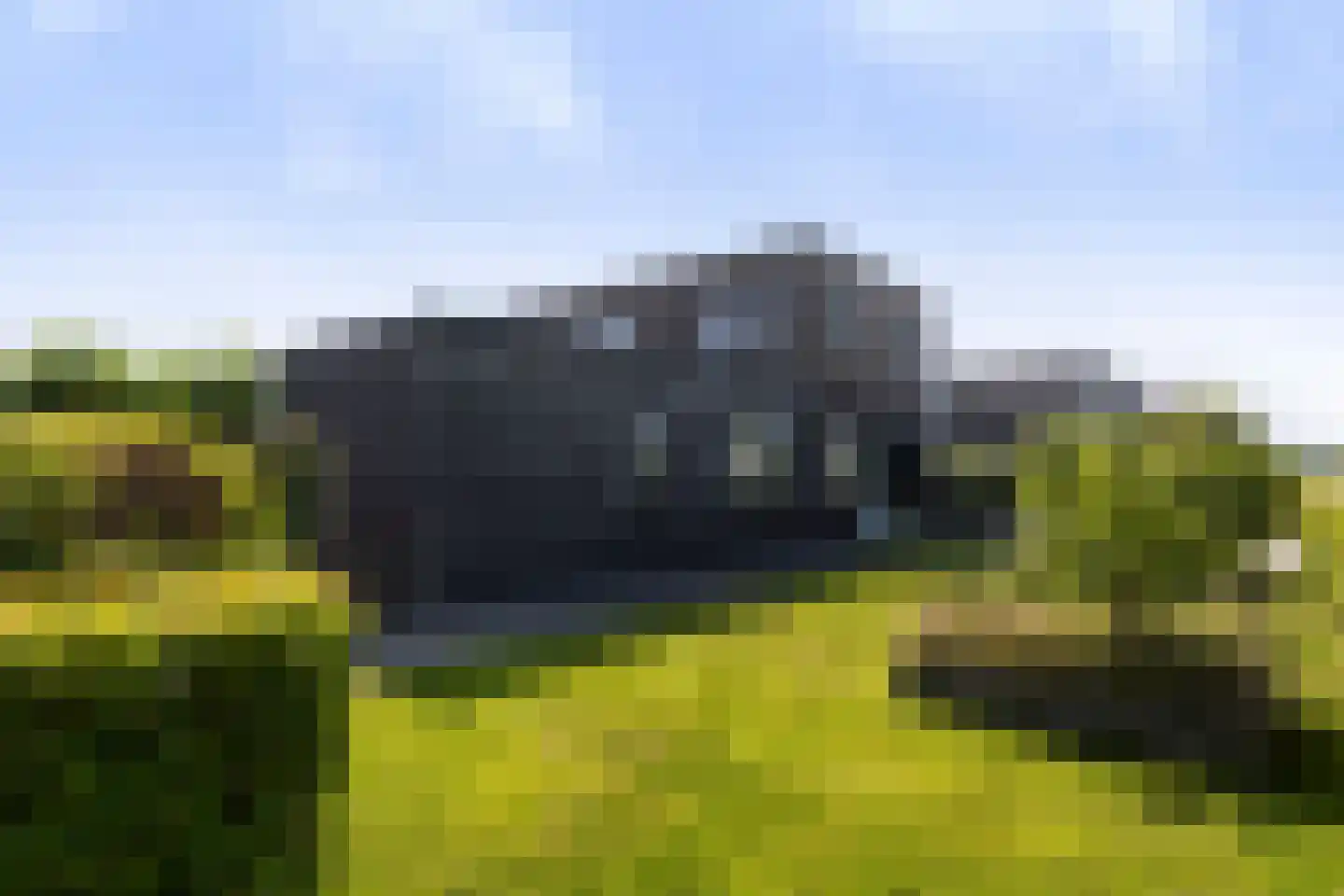 Blitsaerderleane 14 Leeuwarden thumbnail 60