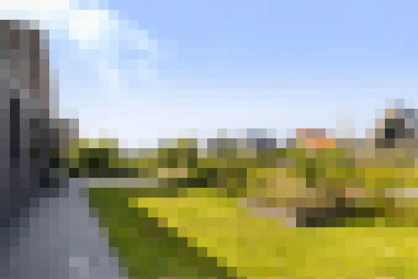 Blitsaerderleane 14 Leeuwarden thumbnail 7