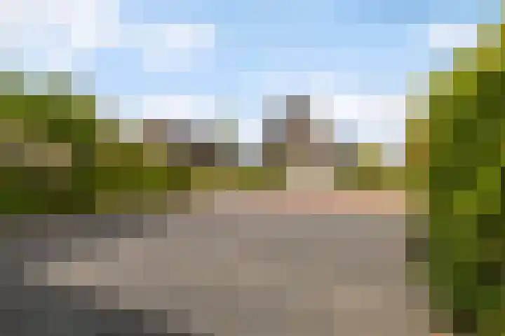 Blitsaerderleane 46 Leeuwarden thumbnail 12