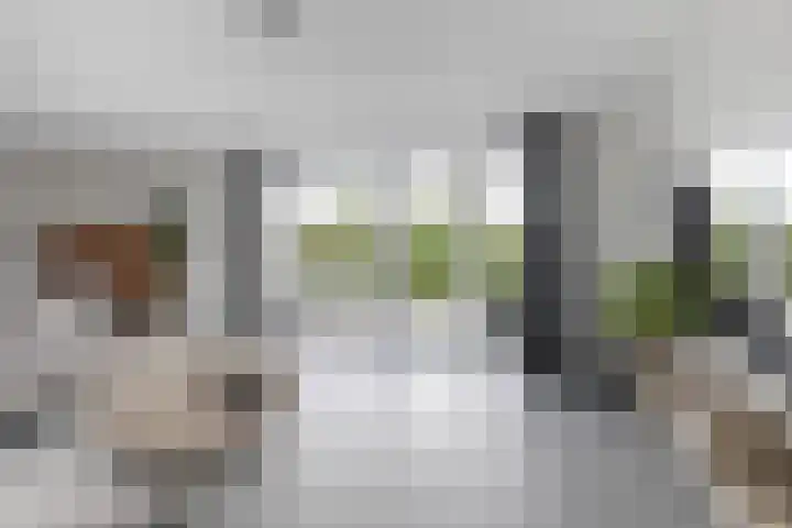 Blitsaerderleane 46 Leeuwarden thumbnail 17