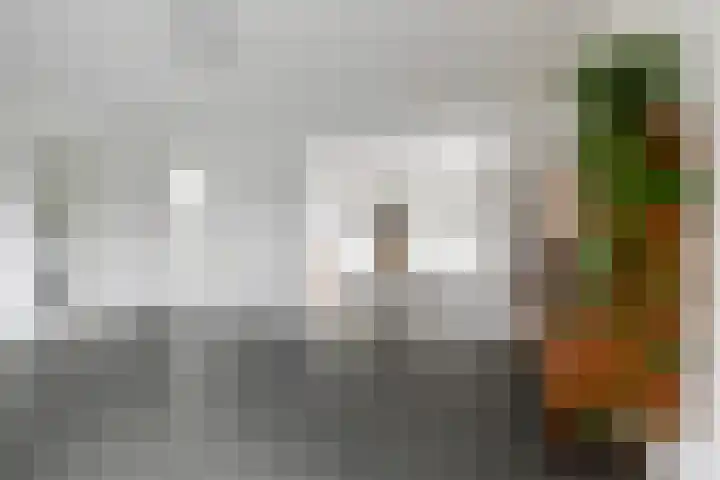 Blitsaerderleane 46 Leeuwarden thumbnail 18