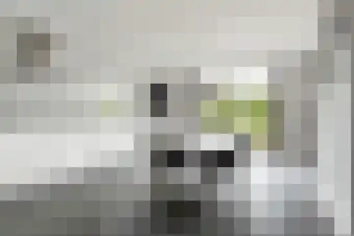 Blitsaerderleane 46 Leeuwarden thumbnail 21