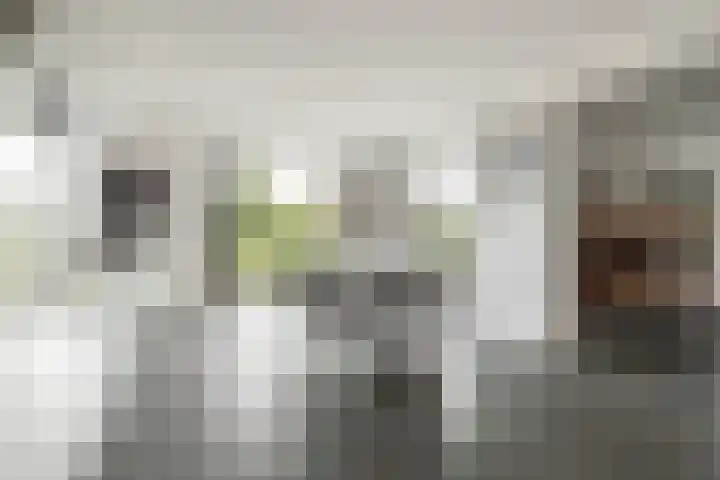 Blitsaerderleane 46 Leeuwarden thumbnail 22