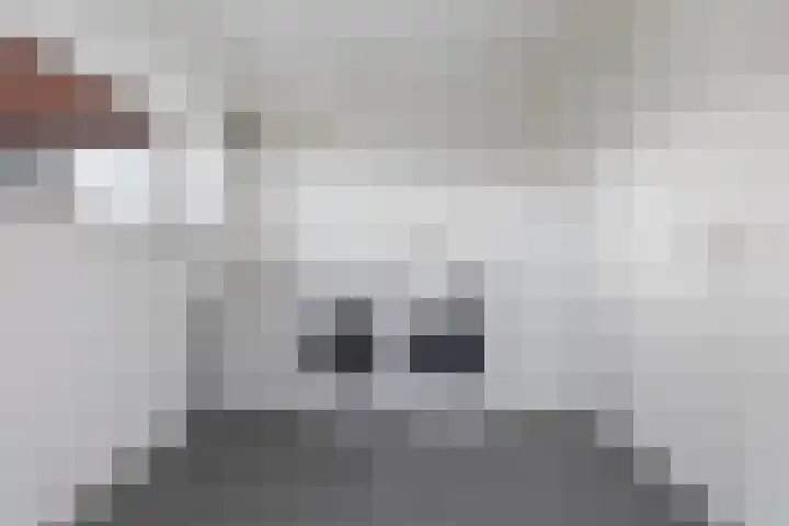 Blitsaerderleane 46 Leeuwarden thumbnail 31