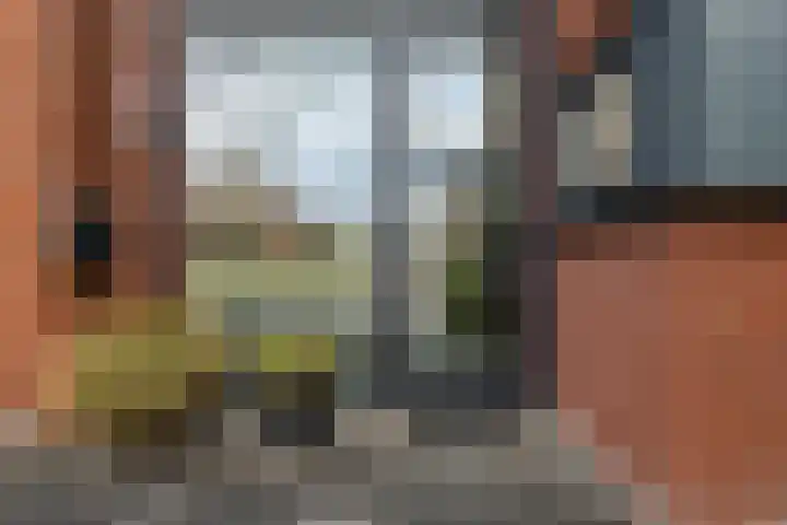 Blitsaerderleane 46 Leeuwarden thumbnail 4