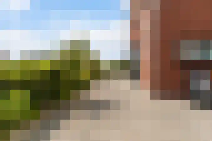 Blitsaerderleane 46 Leeuwarden thumbnail 43