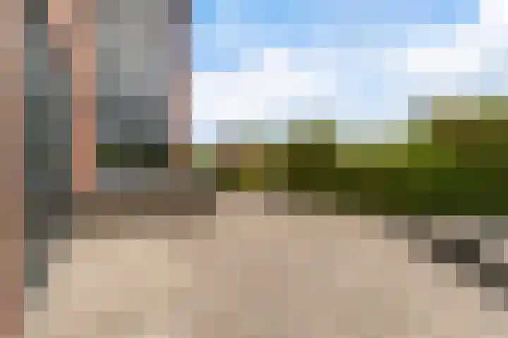 Blitsaerderleane 46 Leeuwarden thumbnail 46