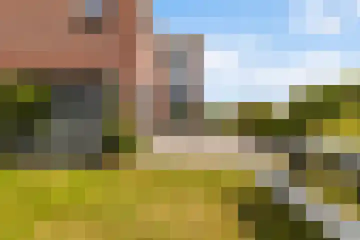 Blitsaerderleane 46 Leeuwarden thumbnail 47