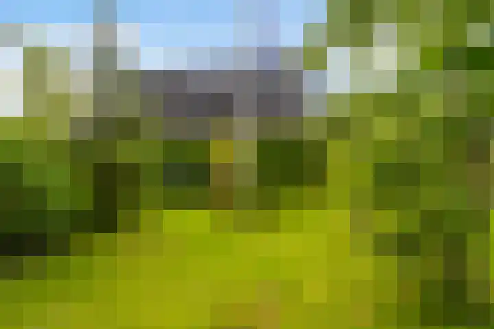 Blitsaerderleane 46 Leeuwarden thumbnail 49
