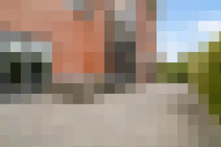 Blitsaerderleane 46 Leeuwarden thumbnail 51
