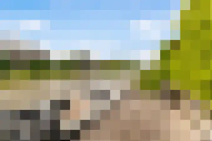Blitsaerderleane 46 Leeuwarden thumbnail 52