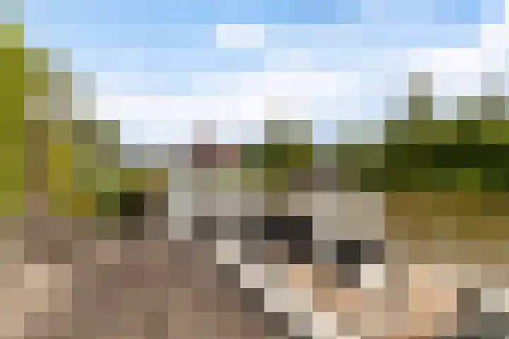 Blitsaerderleane 46 Leeuwarden thumbnail 53