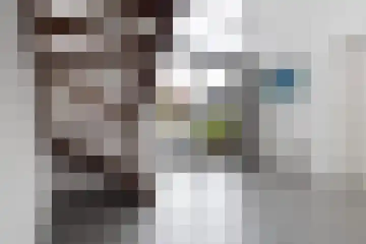 Blitsaerderleane 46 Leeuwarden thumbnail 6