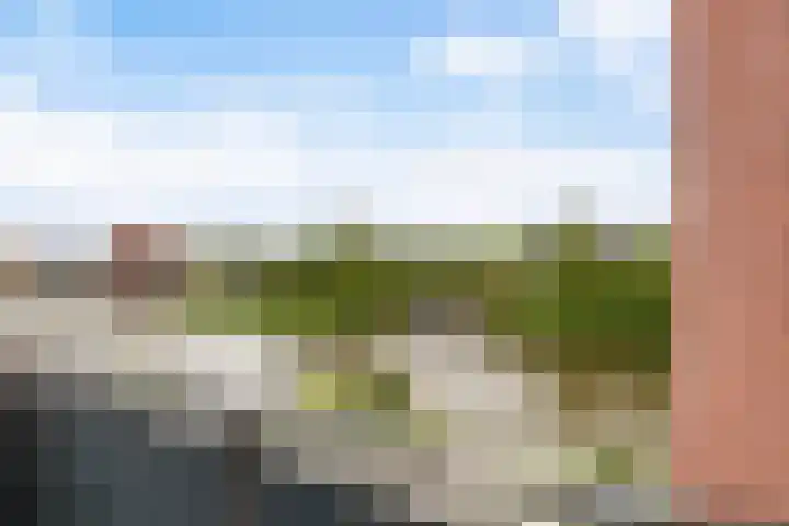 Blitsaerderleane 46 Leeuwarden thumbnail 65