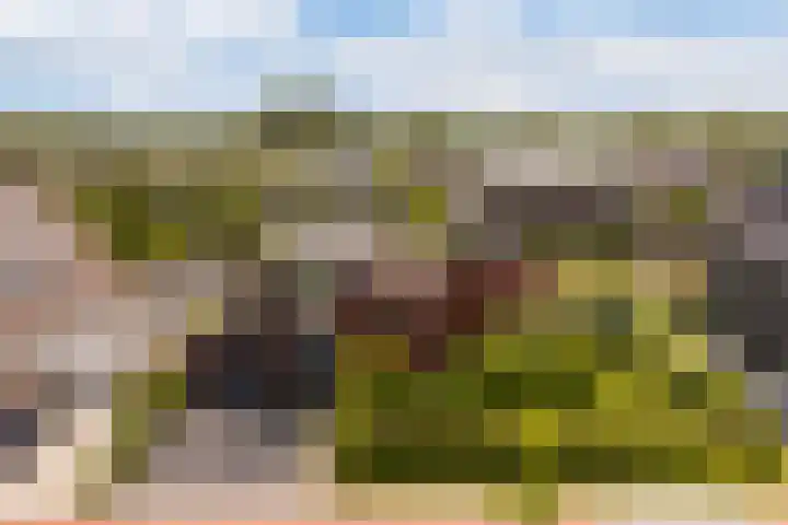 Blitsaerderleane 46 Leeuwarden thumbnail 76