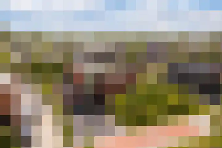 Blitsaerderleane 46 Leeuwarden thumbnail 77