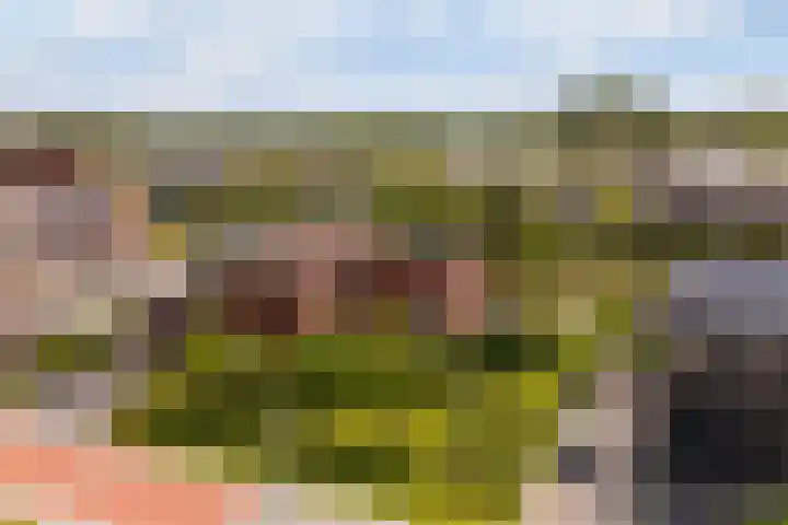 Blitsaerderleane 46 Leeuwarden thumbnail 78