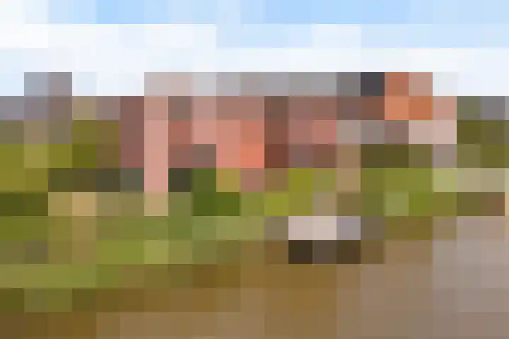 Blitsaerderleane 46 Leeuwarden thumbnail 79