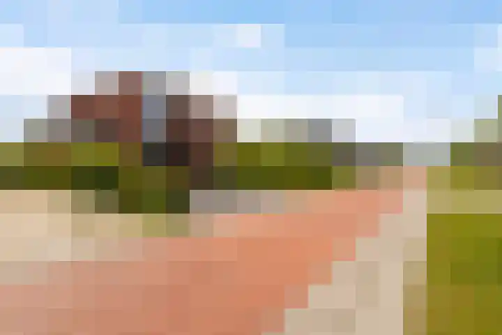 Blitsaerderleane 46 Leeuwarden thumbnail 8