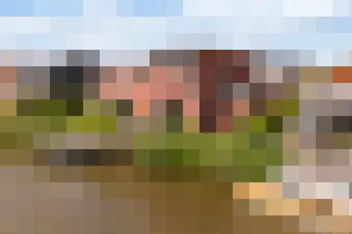 Blitsaerderleane 46 Leeuwarden thumbnail 80