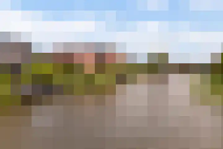 Blitsaerderleane 46 Leeuwarden thumbnail 81