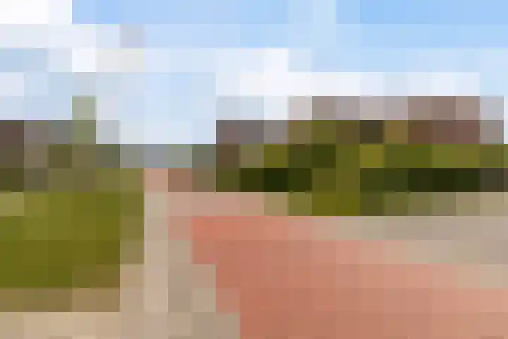 Blitsaerderleane 46 Leeuwarden thumbnail 9