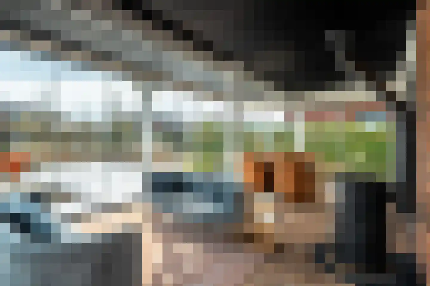 Blitsaerderleane 48 Leeuwarden thumbnail 29