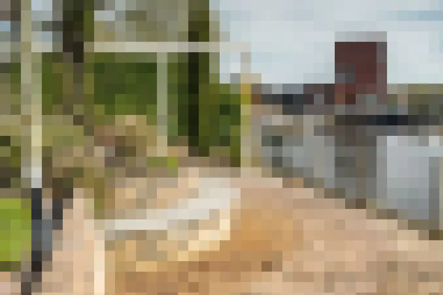 Blitsaerderleane 48 Leeuwarden thumbnail 53