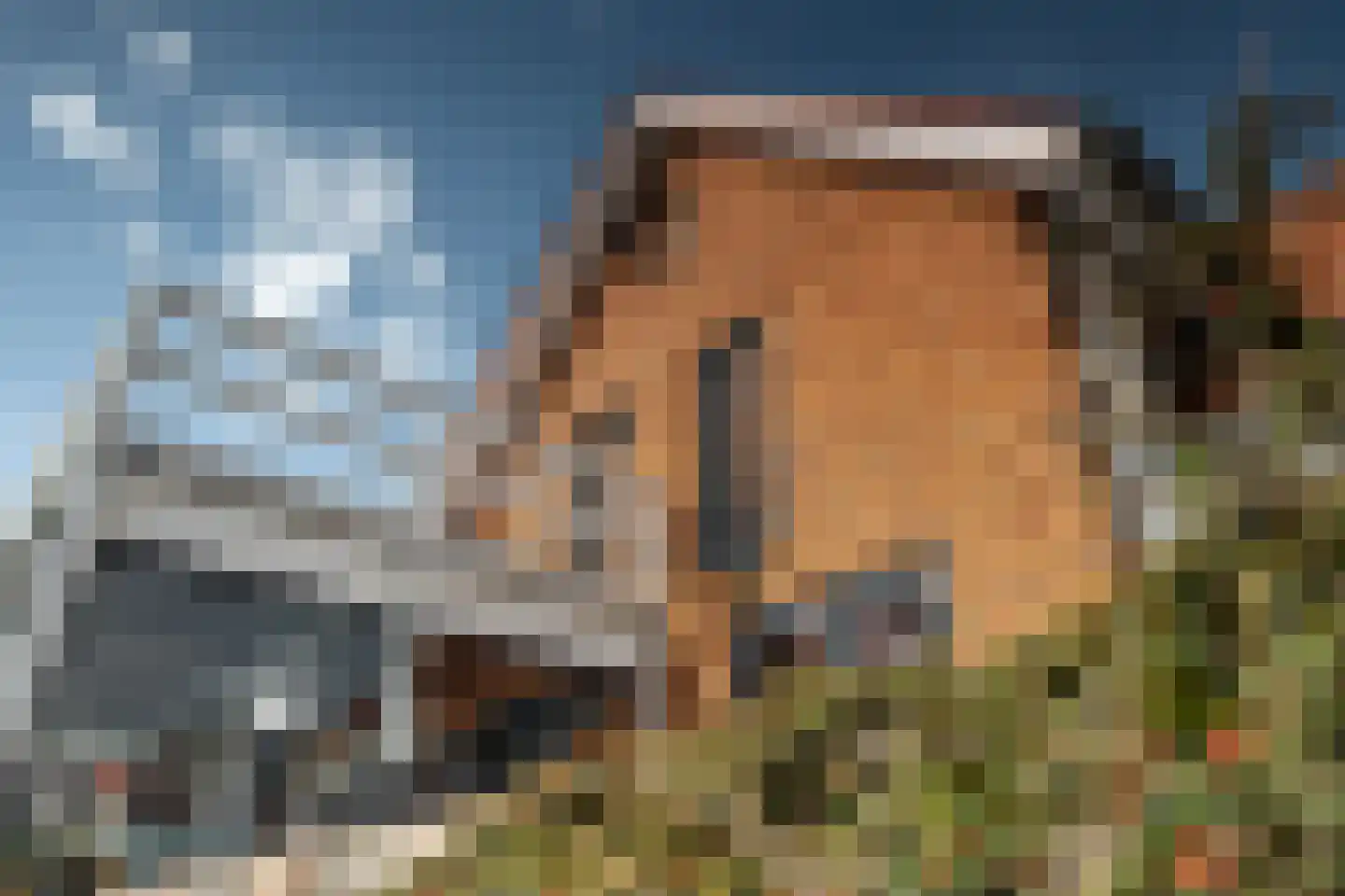Blitsaerderleane 48 Leeuwarden thumbnail 54