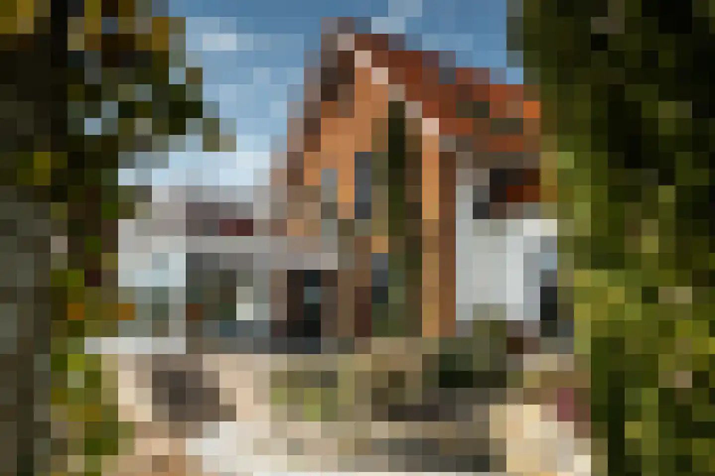 Blitsaerderleane 48 Leeuwarden thumbnail 57