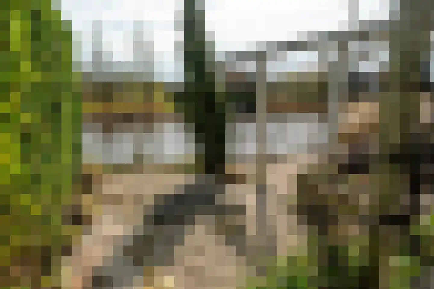 Blitsaerderleane 48 Leeuwarden thumbnail 61