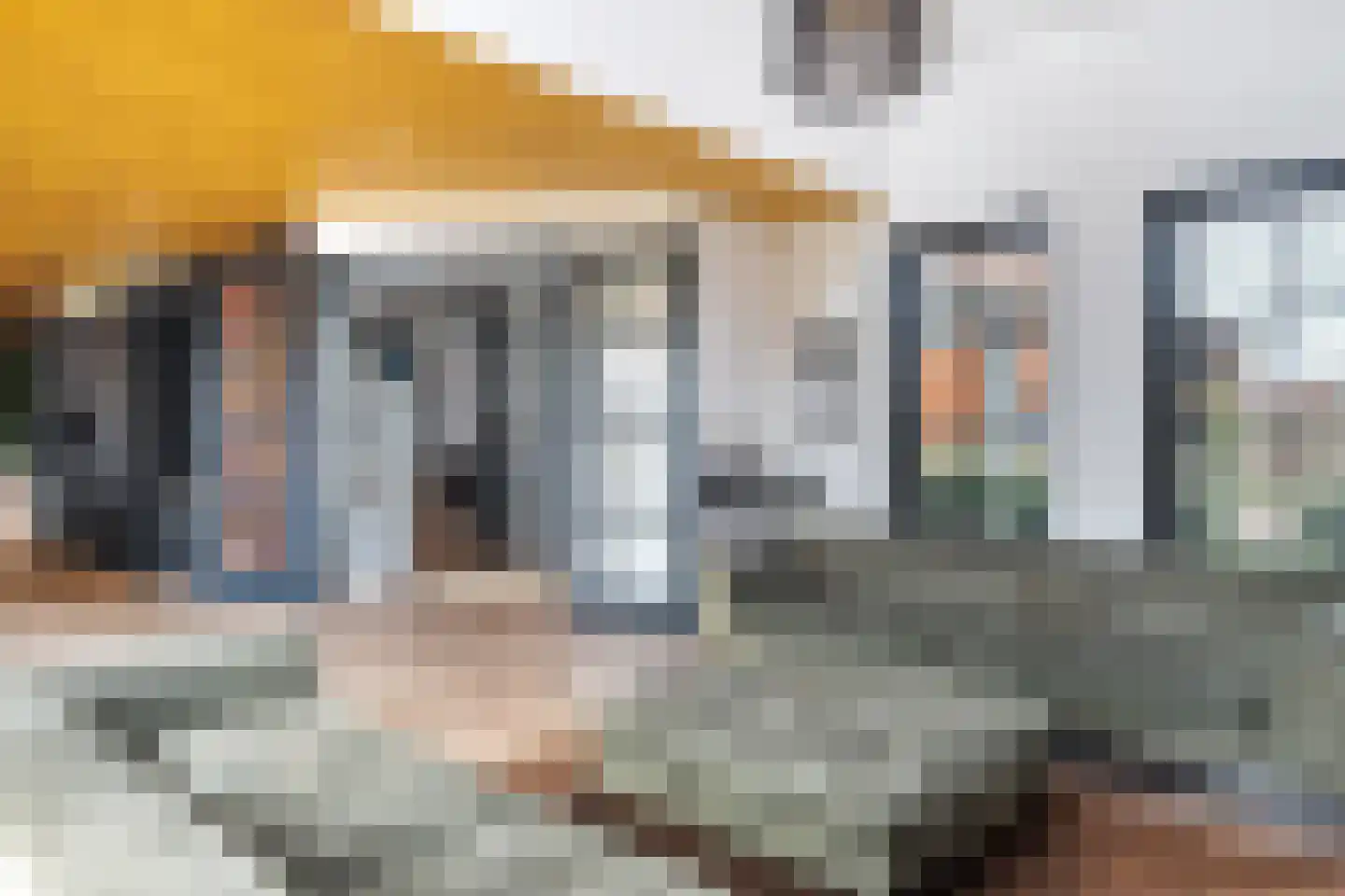 Blitsaerderleane 48 Leeuwarden thumbnail 8