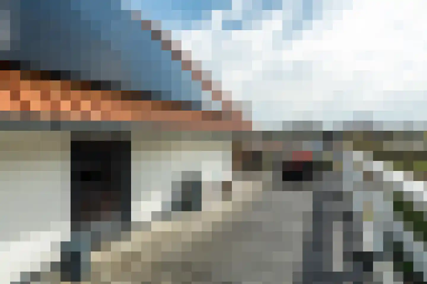 Blitsaerderleane 48 Leeuwarden thumbnail 86