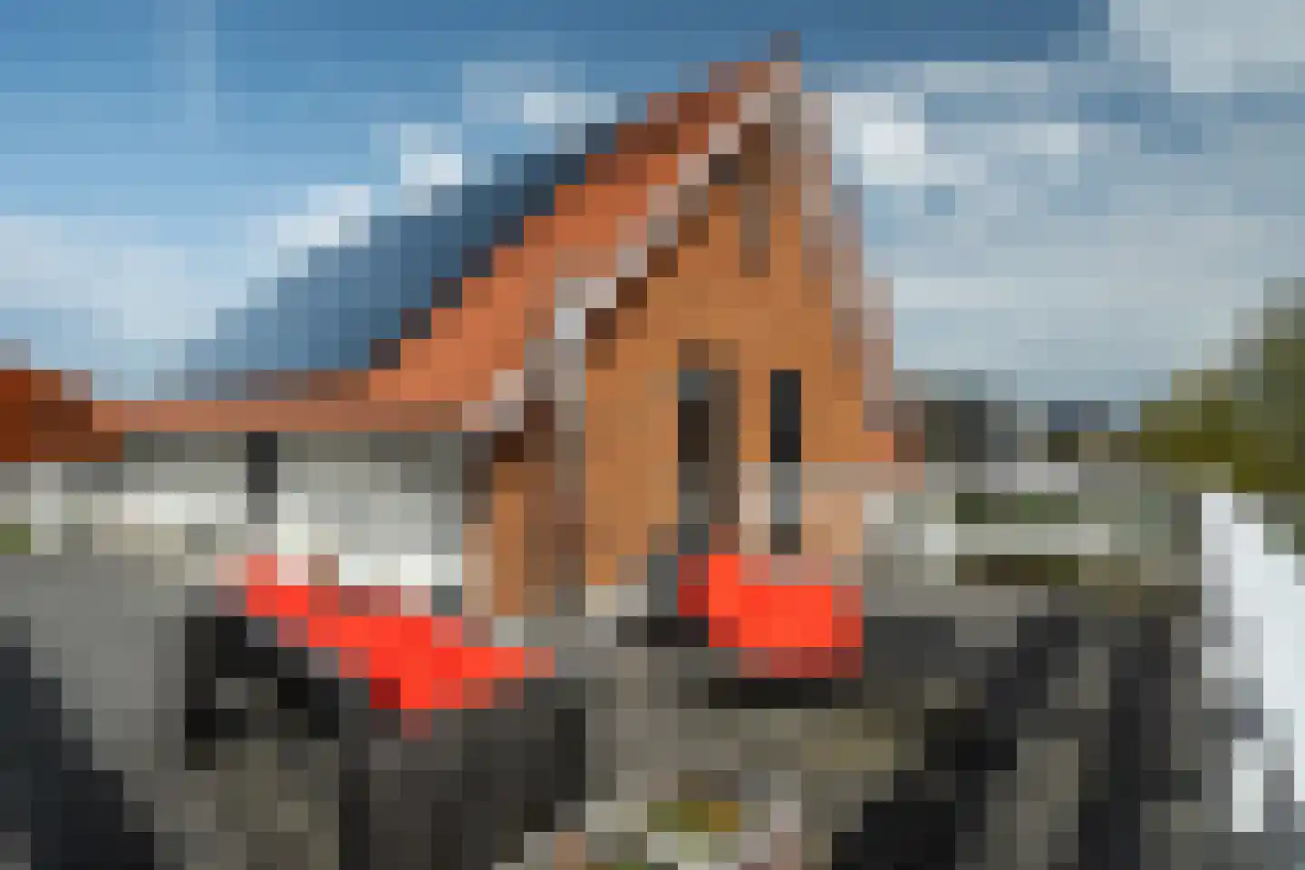 Blitsaerderleane 48 Leeuwarden thumbnail 87