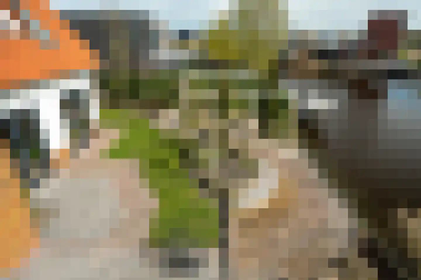 Blitsaerderleane 48 Leeuwarden thumbnail 89
