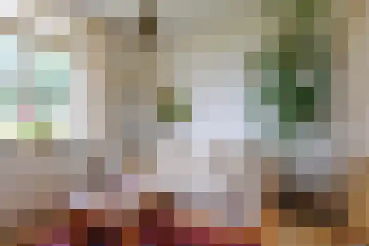 Blitterswijckseweg 3 Broekhuizenvorst thumbnail 15