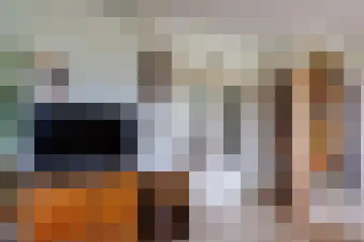 Blitterswijckseweg 3 Broekhuizenvorst thumbnail 17