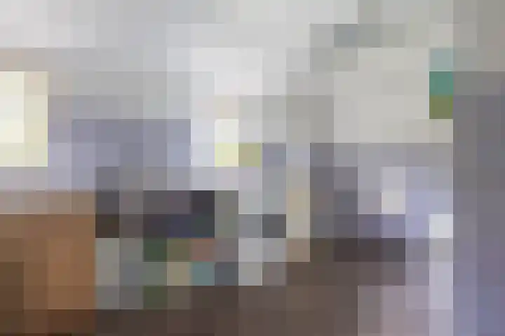 Blitterswijckseweg 3 Broekhuizenvorst thumbnail 23