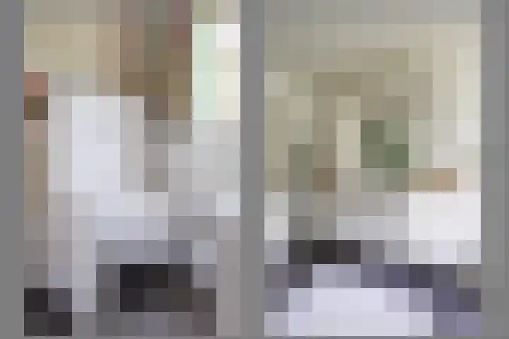 Blitterswijckseweg 3 Broekhuizenvorst thumbnail 26