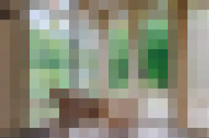Blitterswijckseweg 3 Broekhuizenvorst thumbnail 30