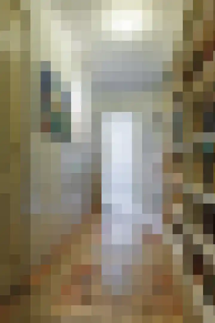Blitterswijckseweg 3 Broekhuizenvorst thumbnail 31