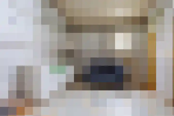 Blitterswijckseweg 3 Broekhuizenvorst thumbnail 32