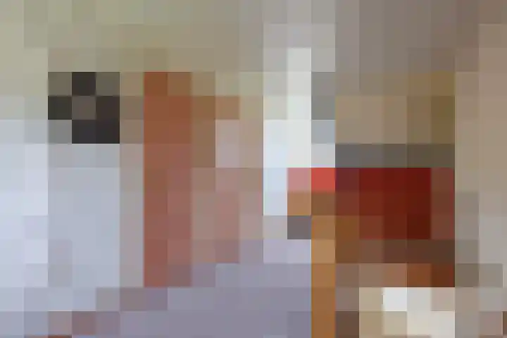 Blitterswijckseweg 3 Broekhuizenvorst thumbnail 34