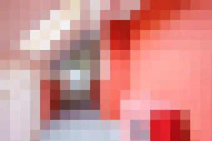 Blitterswijckseweg 3 Broekhuizenvorst thumbnail 35