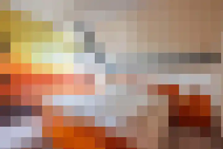 Blitterswijckseweg 3 Broekhuizenvorst thumbnail 38