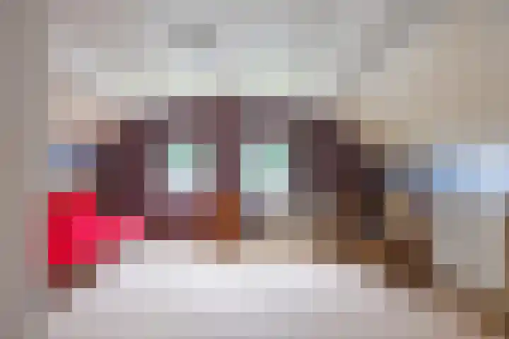 Blitterswijckseweg 3 Broekhuizenvorst thumbnail 40
