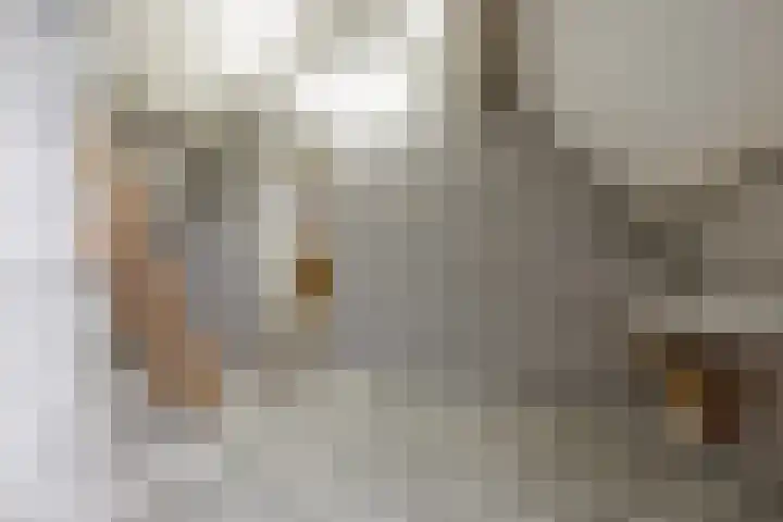 Blitterswijckseweg 3 Broekhuizenvorst thumbnail 43