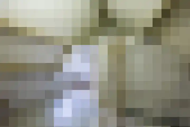 Blitterswijckseweg 3 Broekhuizenvorst thumbnail 44