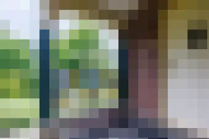 Blitterswijckseweg 3 Broekhuizenvorst thumbnail 54